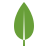 mongodb